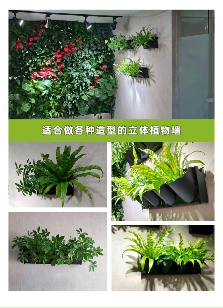 立体绿化种植盒 植物墙专用厂家直销 圣恩园艺