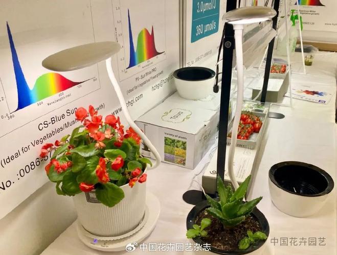 的个性化植物工厂在第27届中国国际花卉园艺展览会