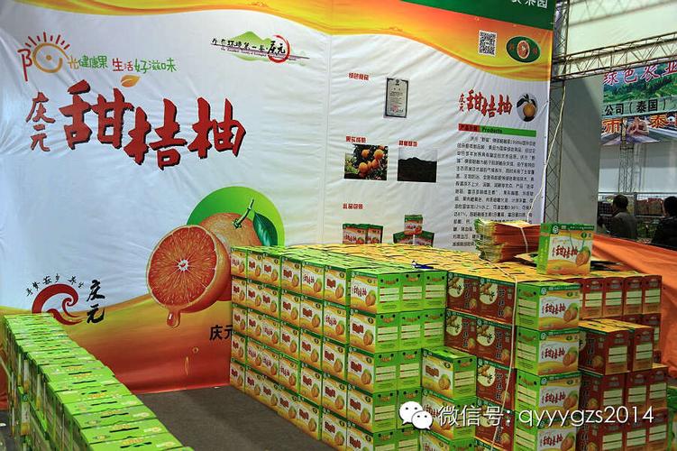 园艺产品︱柑橘新宠